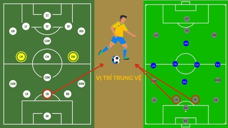 Vị trí cb trong bóng đá