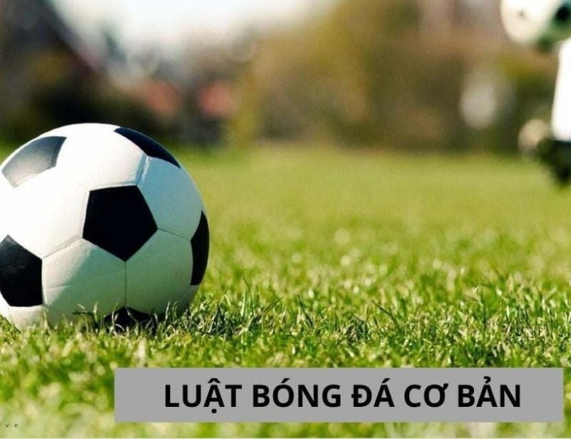 Cách thức đưa bóng trở lại cuộc trong luật bóng ngoài cuộc