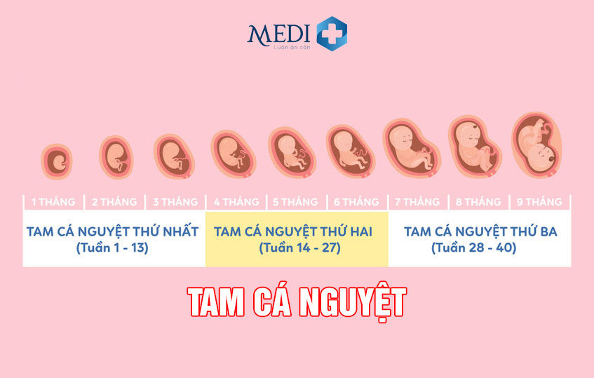 Giới thiệu tổng quan về sơ đồ 4-3-3 - Khái niệm và phong cách xây dựng tam cá nguyệt toàn diện